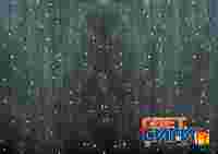 Гирлянда "Дождь Плэй Лайт" 2х3 метра. Разноцветные диоды 448 шт, прозрачный провод, постоянное свечение, 220 В