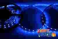 Светодиодная лента открытая Синяя. 12В, 60 диодов на метр, SMD 5050, 2.5х10мм, намотка 5 метров