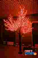 Светодиодное дерево "Сакура" Красные диоды 864шт, высота 1.5 метра, диаметр кроны 1.8 метра