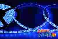 Светодиодная лента герметичная в силиконе Синяя. 12В, 60 диодов на метр, SMD 5050, 2.5х10мм,  светоотдача 18 LM/1 LED, намотка 5 метров