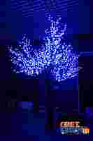 Светодиодное дерево "Сакура" Синие диоды 864шт, высота 1.5 метра, диаметр кроны 1.8 метра