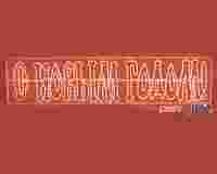 Светодиодная 2D надпись "С НОВЫМ ГОДОМ!" 35х210 см  печатные красные буквы из светодиодного дюралайта