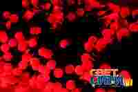 Гирлянда для деревьев "Клип Лайт Шарики" Красные диоды 399шт с шагом 15см, 3 нити по 20 метров, черный провод, свечение с динамикой, 24В