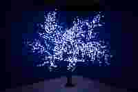 Светодиодное дерево "Сакура" Разноцветные диоды RGB 5184шт, высота 2.4 метра, диаметр кроны 2 метра